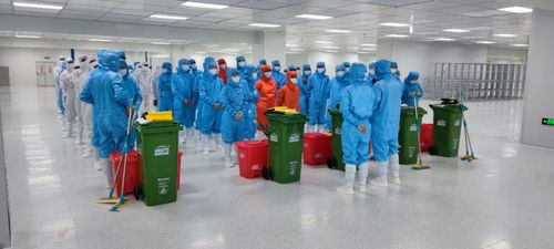 提前35天！TCL華星印度模組廠首片產品成功點亮，智能制造再提速